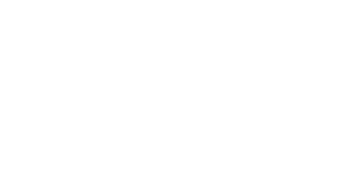 TAVA logo 2